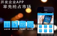 企業(yè)定制原生app的理由